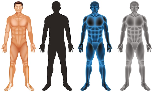 Man And Different Body On White Background 19377230